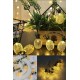 2m 10 Led 2 Kademeli Ananas Led Işık Pilli 2m 10 Led 2 Kademeli Ananas Led Işık Pilli