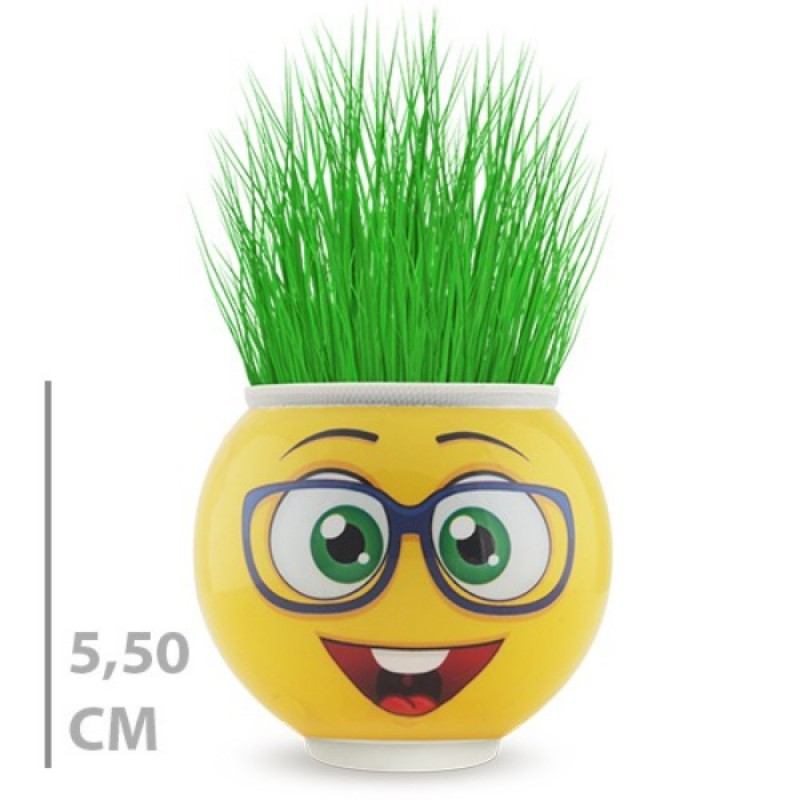 Çim Adam Saksı Emoji Figürlü 1 Adet Çim Adam Saksı Emoji Figürlü 1 Adet