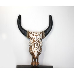 Duvara Asmalı Bufalo Kafası 