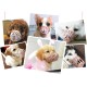 Köpek Koruma Ağızlığı 7'li Set Köpek Koruma Ağızlığı 7'li Set