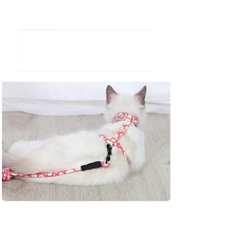 Kedi Gezdirme Göğüs Tasması Kedi Gezdirme Göğüs Tasması
