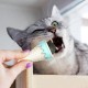 DONDURMA ŞEKLİNDE KEDİ NANESİ KEDİ OTU DONDURMA ŞEKLİNDE KEDİ NANESİ KEDİ OTU