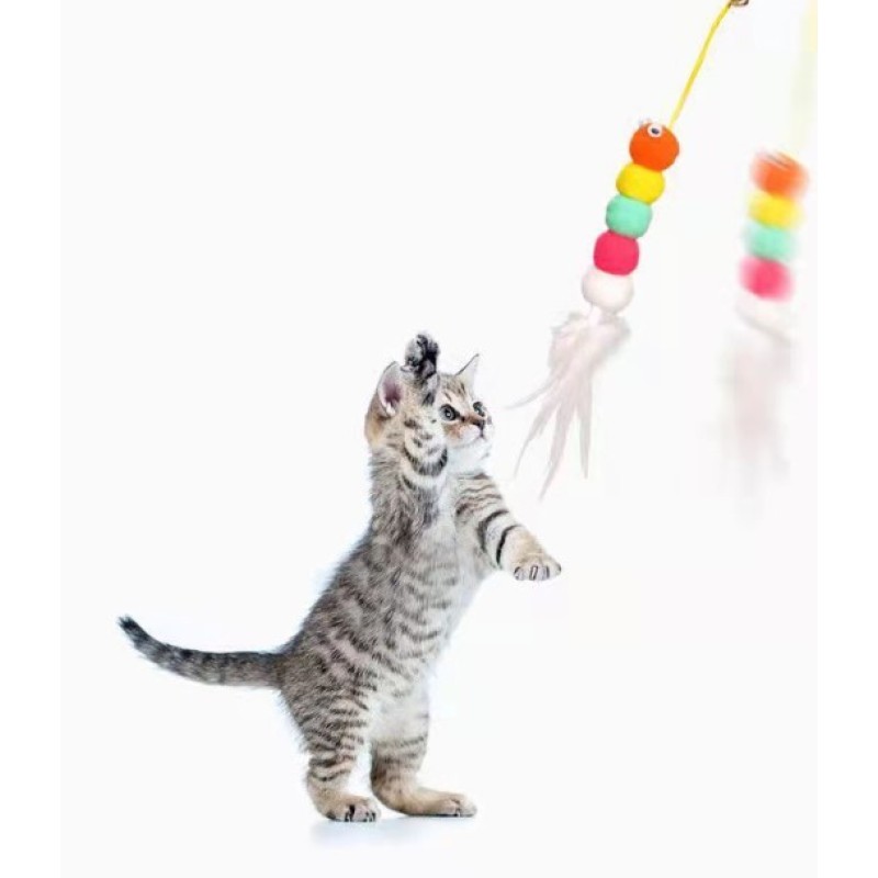 Elastik Yapışkanlı Kedi Oyun Oltası Elastik Yapışkanlı Kedi Oyun Oltası