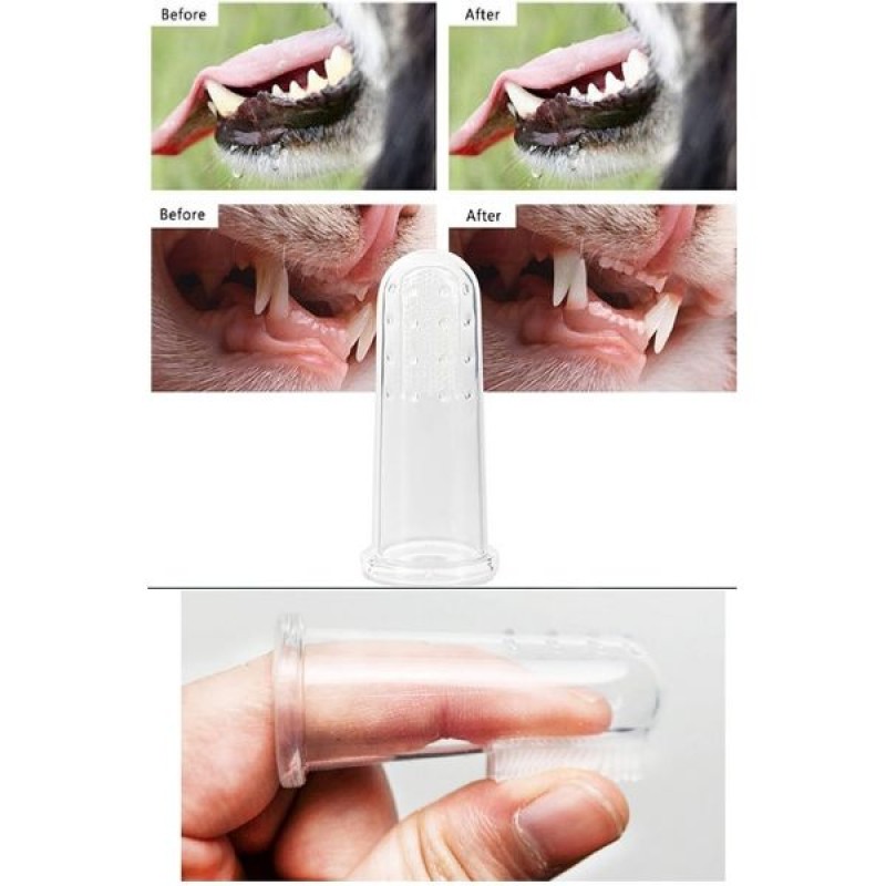 Kedi Köpek Diş Temizleme Fırçası Kedi Köpek Diş Temizleme Fırçası