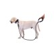 Reflektörlü Köpek Tasması 130 Cm. Reflektörlü Köpek Tasması 130 Cm.