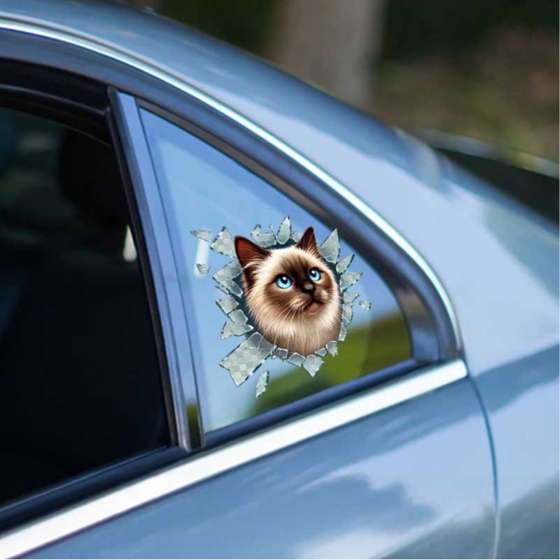 Fulcar Siamesse Araç Stickerı Fulcar Siamesse Araç Stickerı