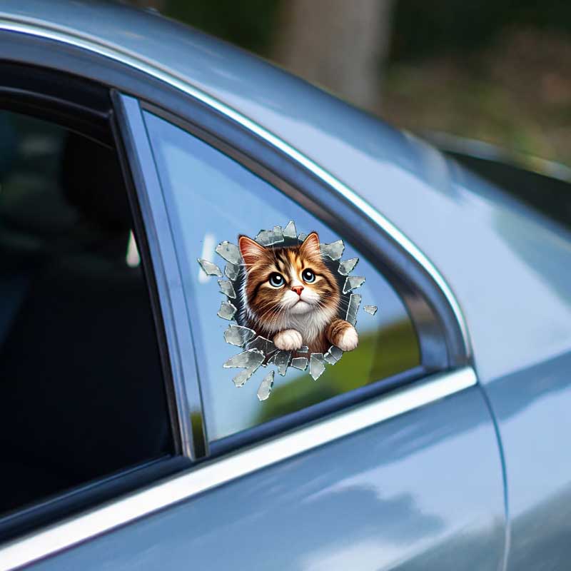 Fulcar Stray Araç Stickerı Fulcar Stray Araç Stickerı