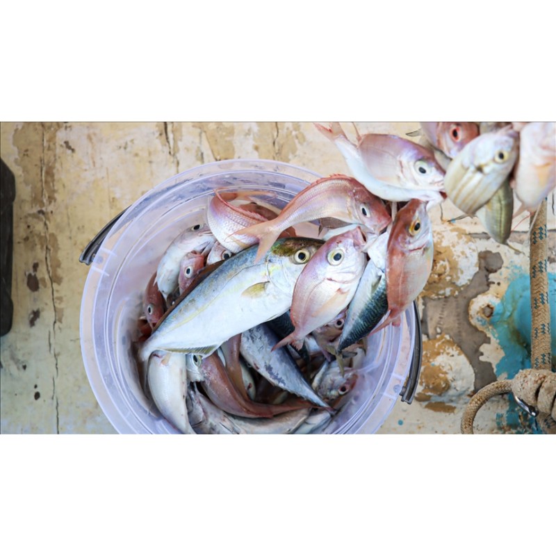 Misina İpi 300 Metre Misina İpi 300 Metre