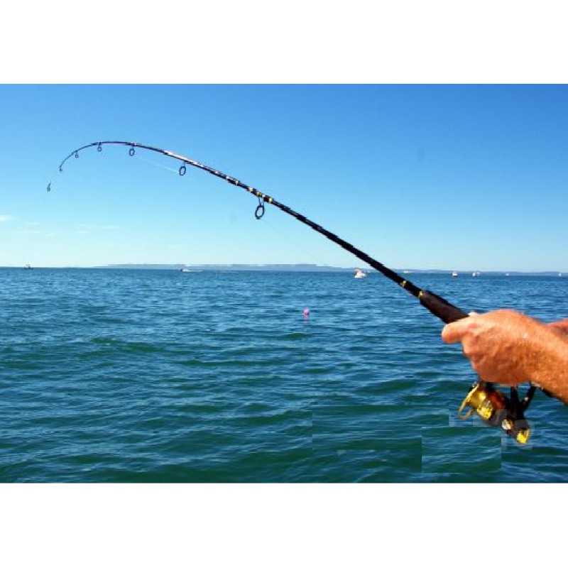 Misina İpi 300 Metre Misina İpi 300 Metre