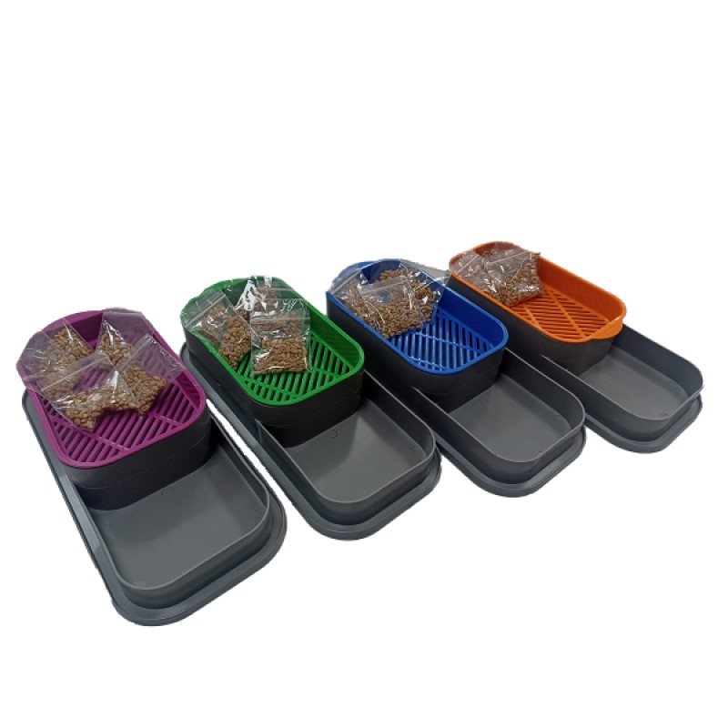 Topraksız Kedi Çimi Kabı Topraksız Kedi Çimi Kabı