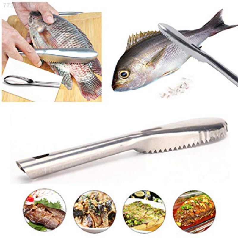 Pratik Balık Pulu Kazıyıcı Aparat Pratik Balık Pulu Kazıyıcı Aparat